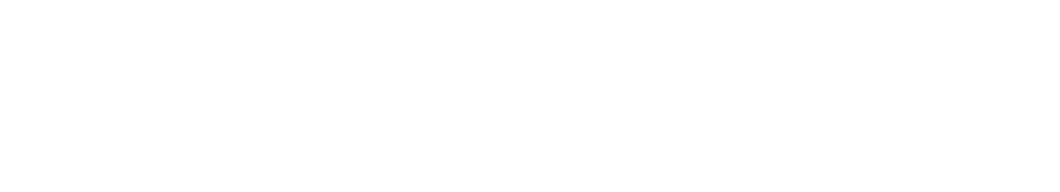 Smart Point Solution